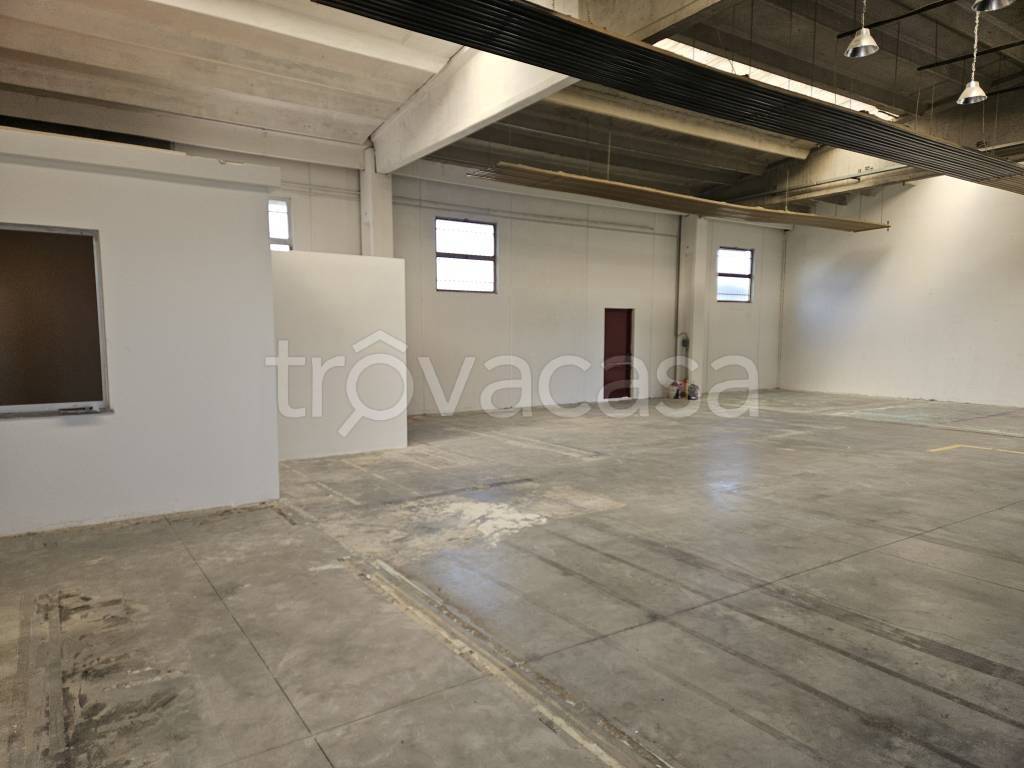 immagine annuncio 4 di 12