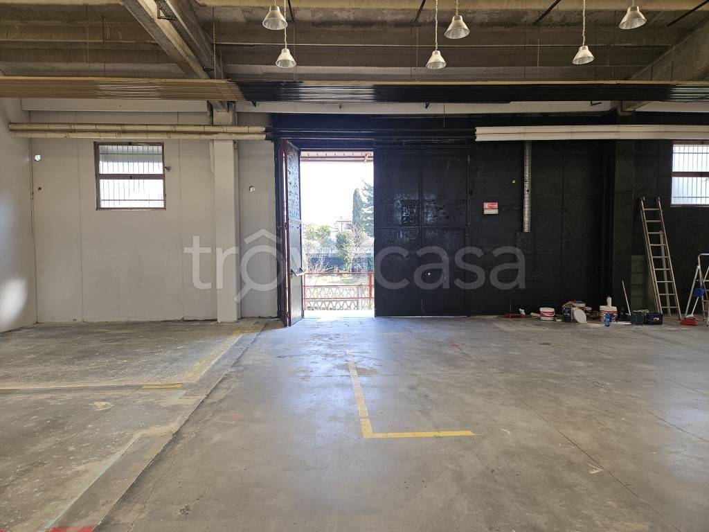 immagine annuncio 5 di 12