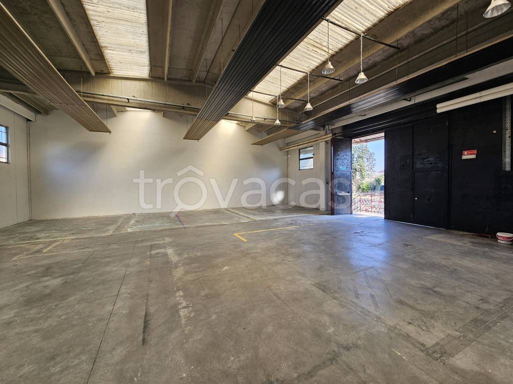 immagine annuncio 6 di 12