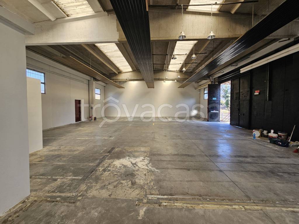 immagine annuncio 7 di 12