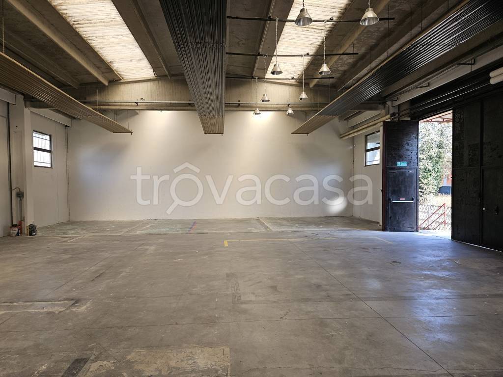 immagine annuncio 9 di 12