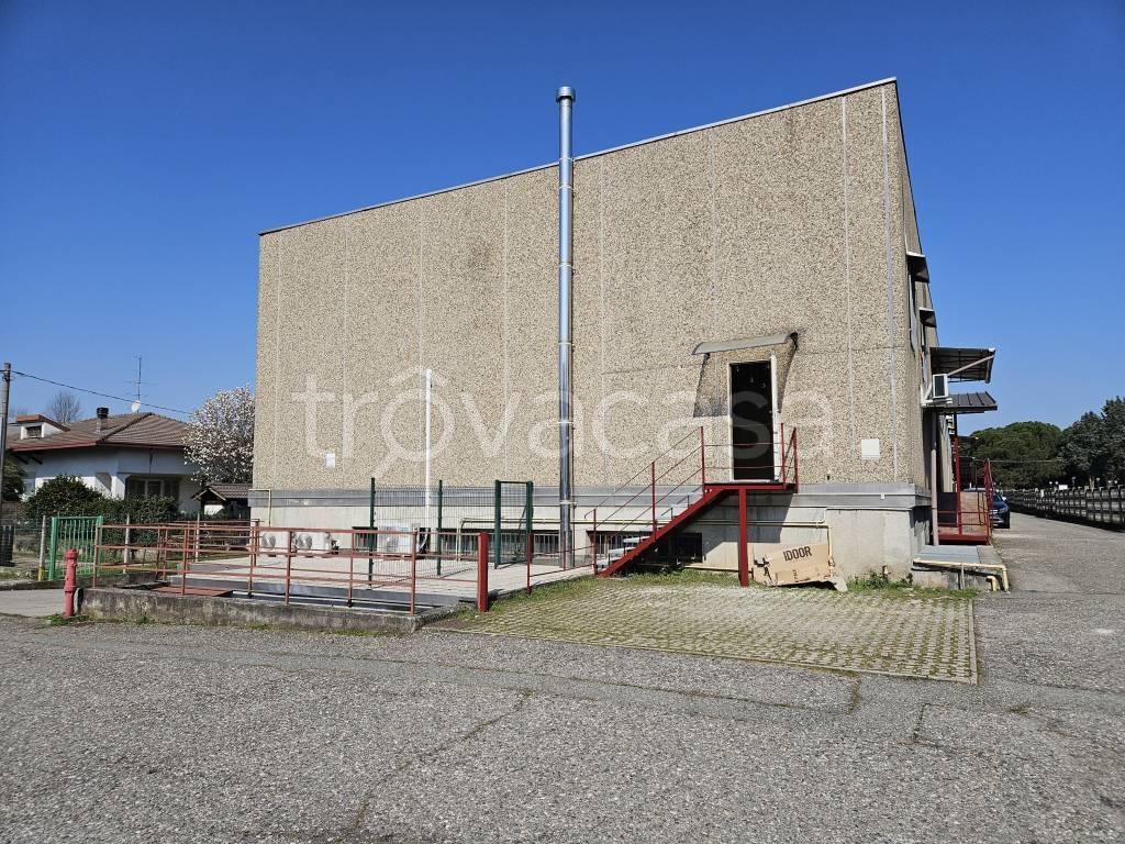 immagine annuncio 11 di 12