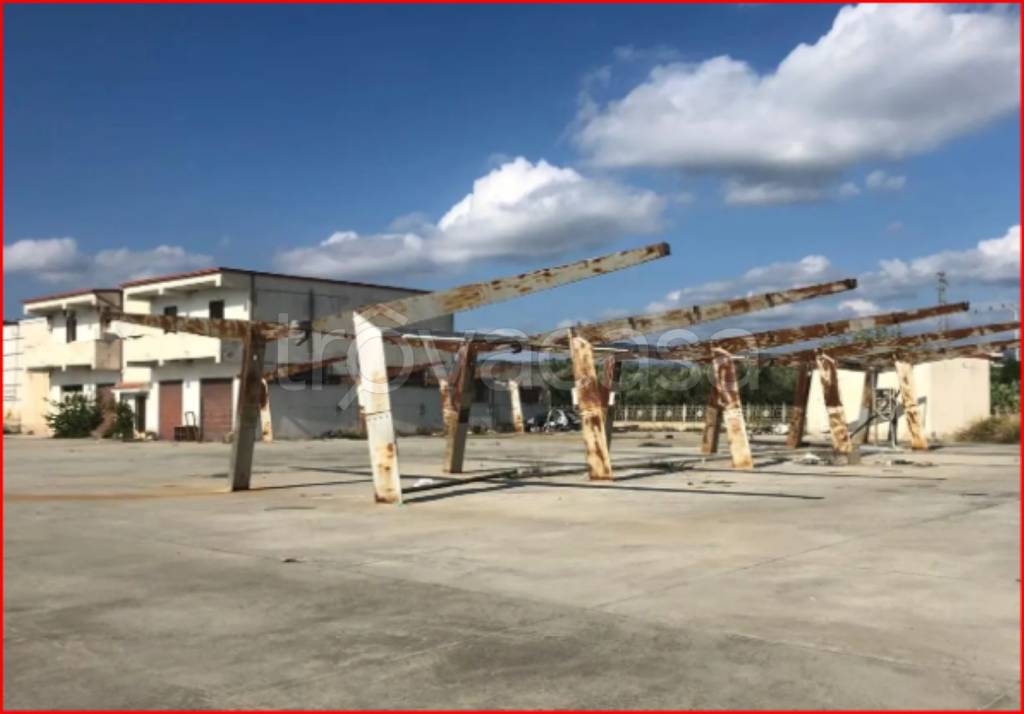 immagine annuncio 2 di 12