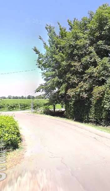 immagine annuncio 6 di 11