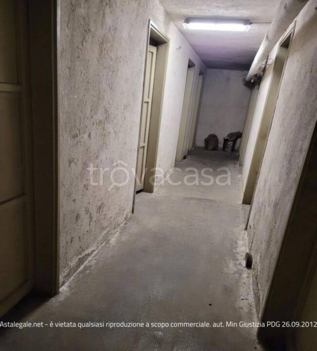 immagine annuncio 10 di 14