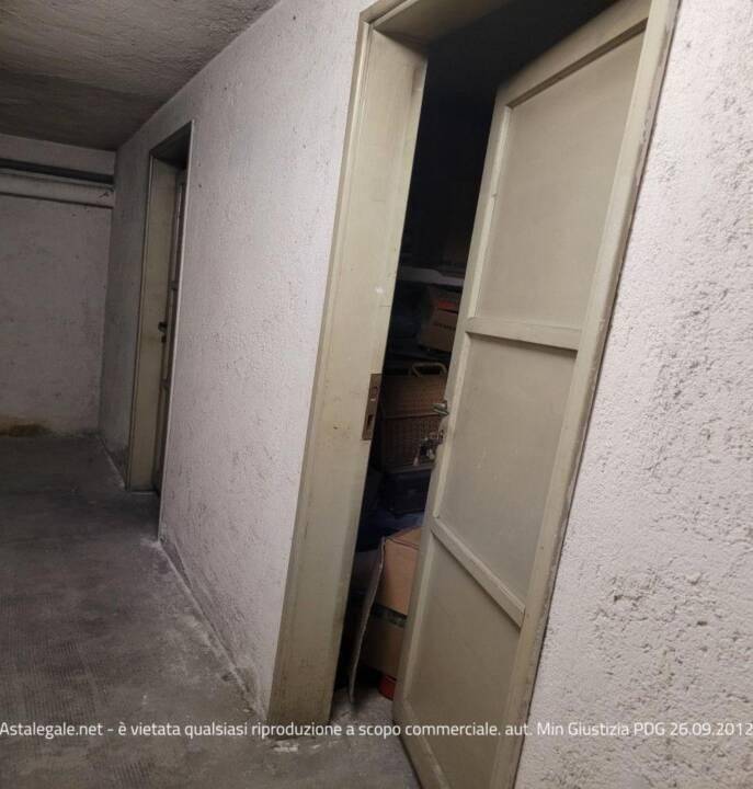 immagine annuncio 11 di 14