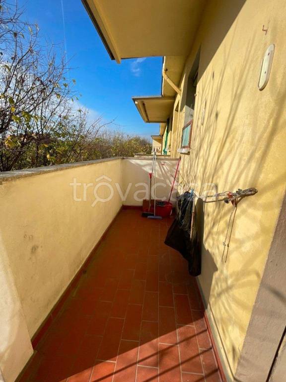 immagine annuncio 4 di 12