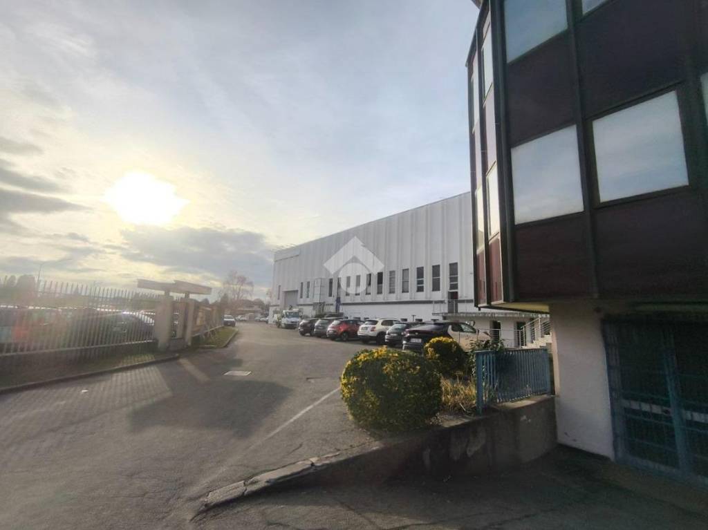 immagine annuncio 5 di 15