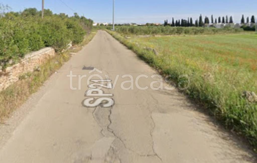 immagine annuncio 1 di 11