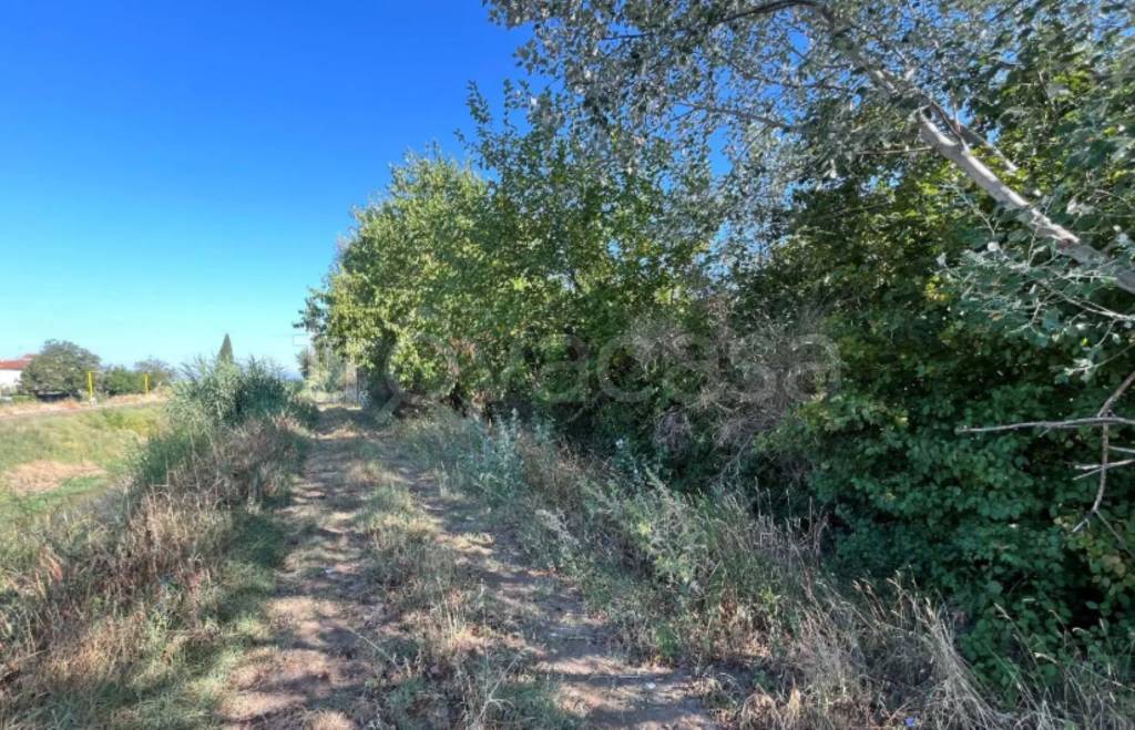 immagine annuncio 4 di 11