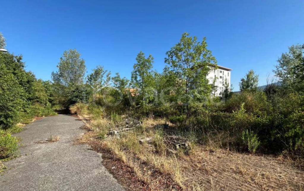 immagine annuncio 7 di 11