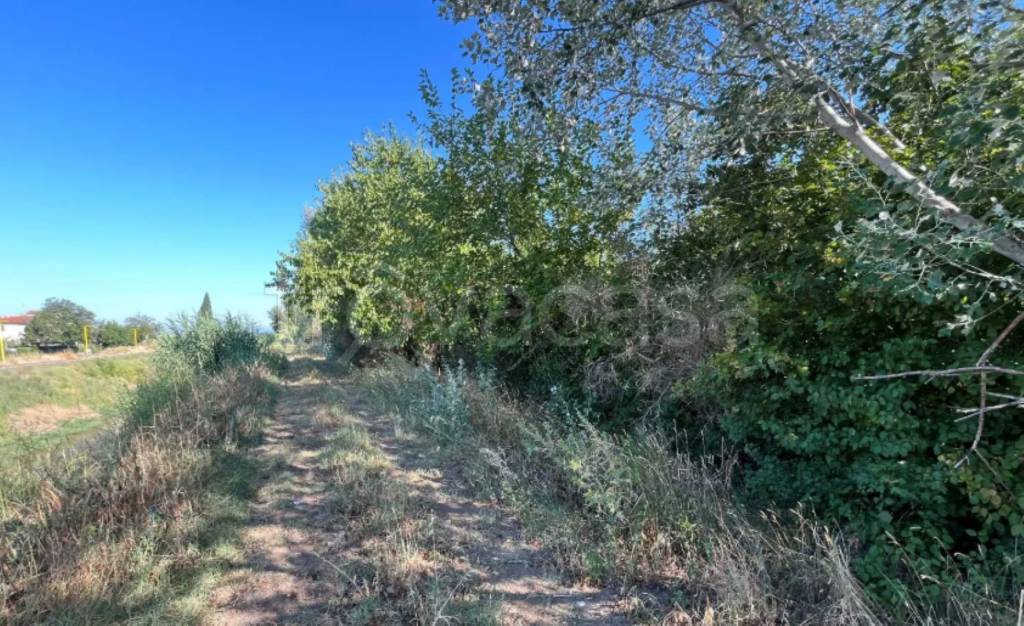 immagine annuncio 6 di 11