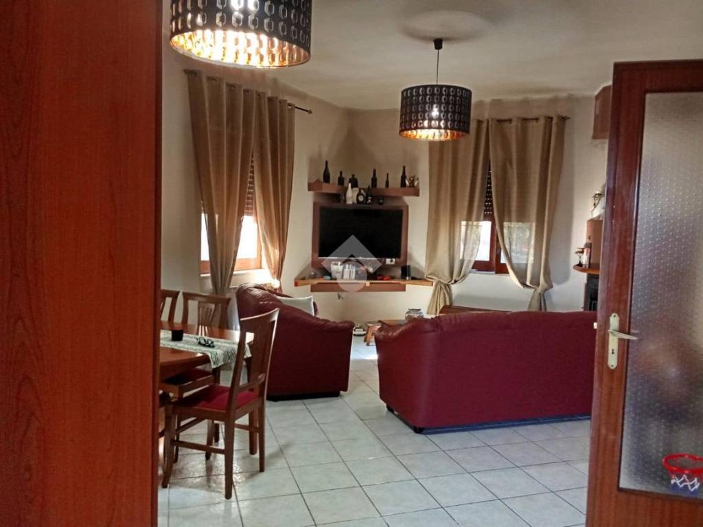 immagine annuncio 2 di 14