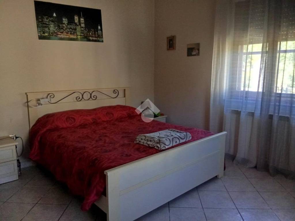 immagine annuncio 9 di 14