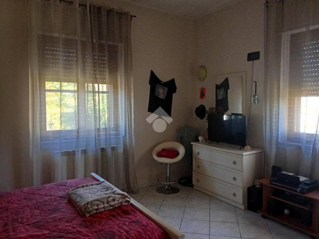 immagine annuncio 10 di 14