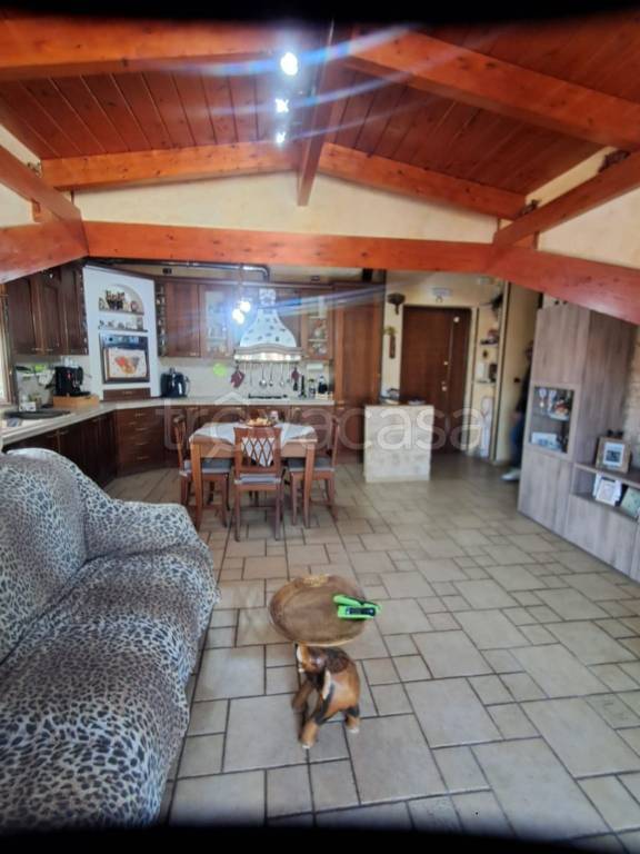 immagine annuncio 1 di 11