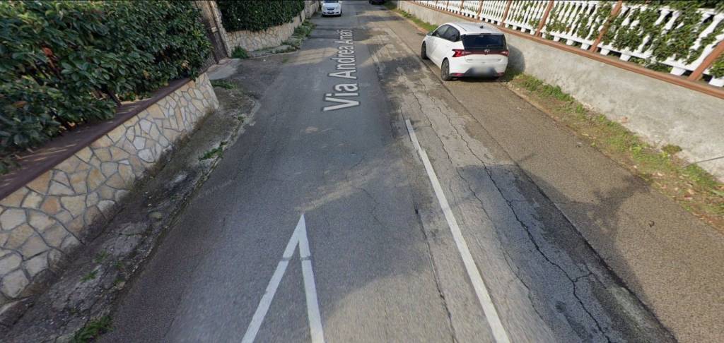 immagine annuncio 3 di 14