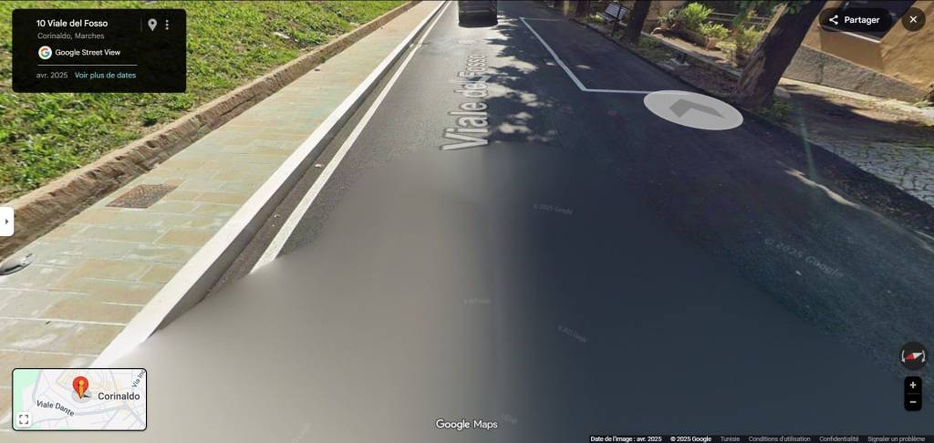 immagine annuncio 3 di 11