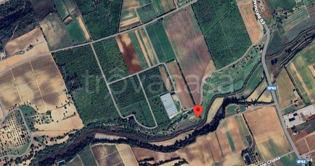 immagine annuncio 2 di 11