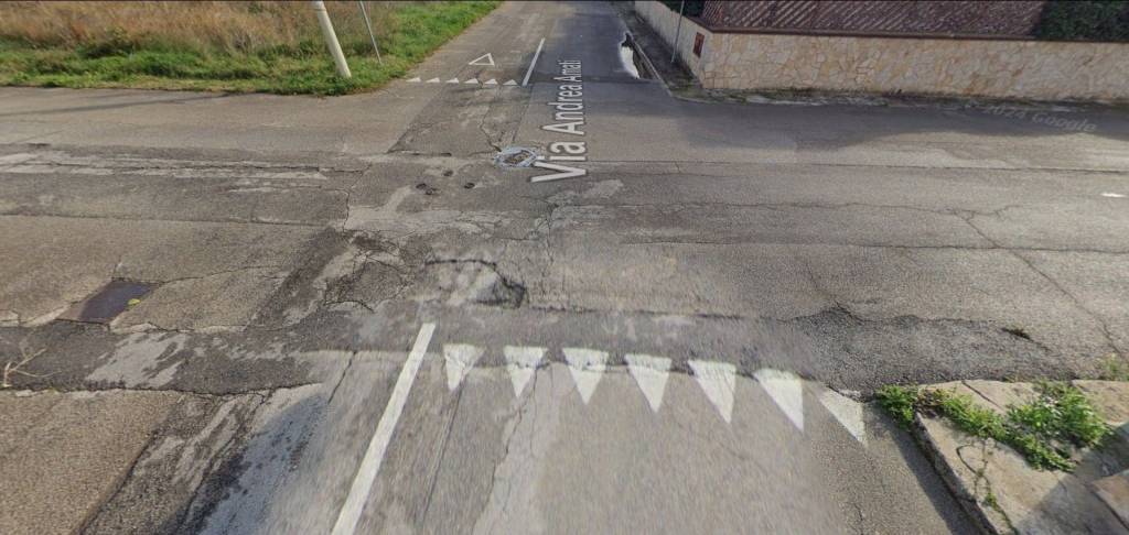 immagine annuncio 7 di 14