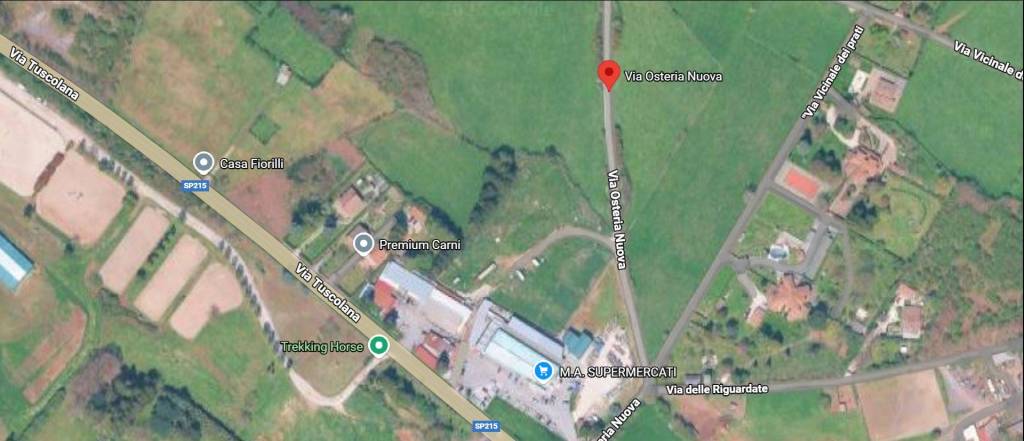 immagine annuncio 8 di 11