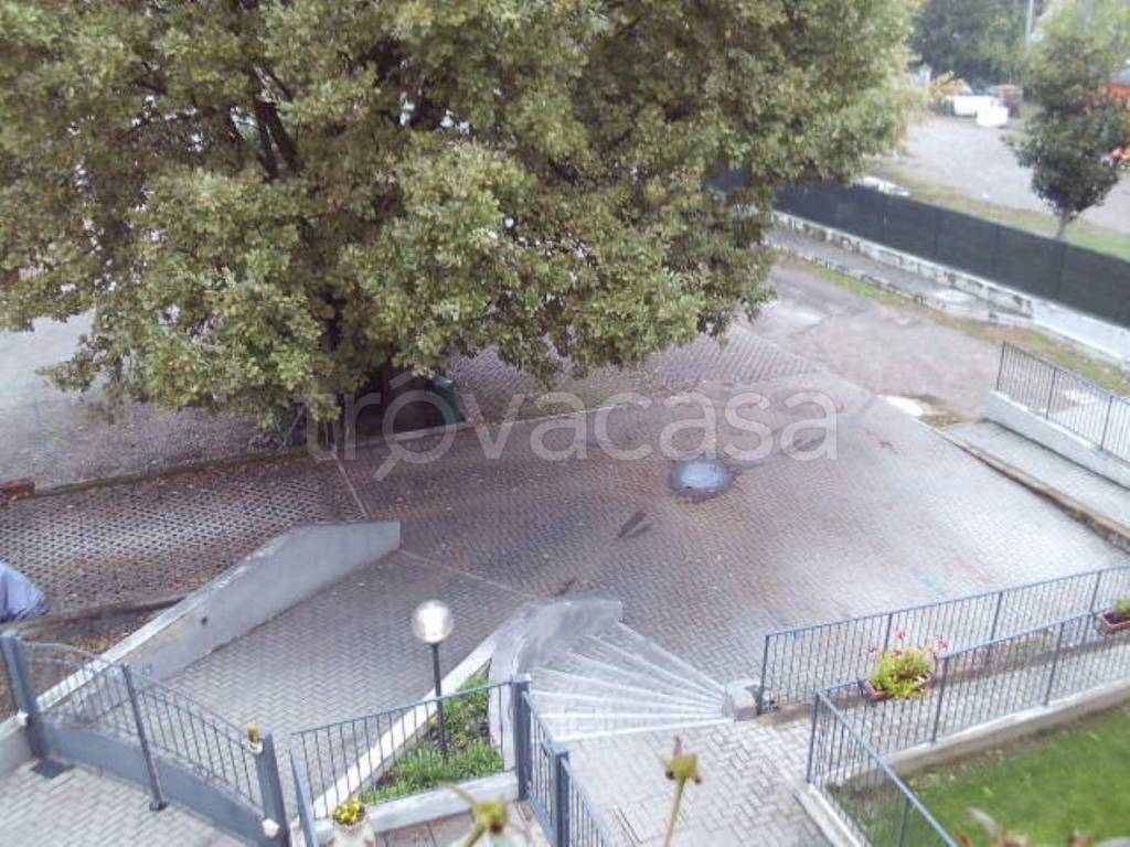 immagine annuncio 9 di 12