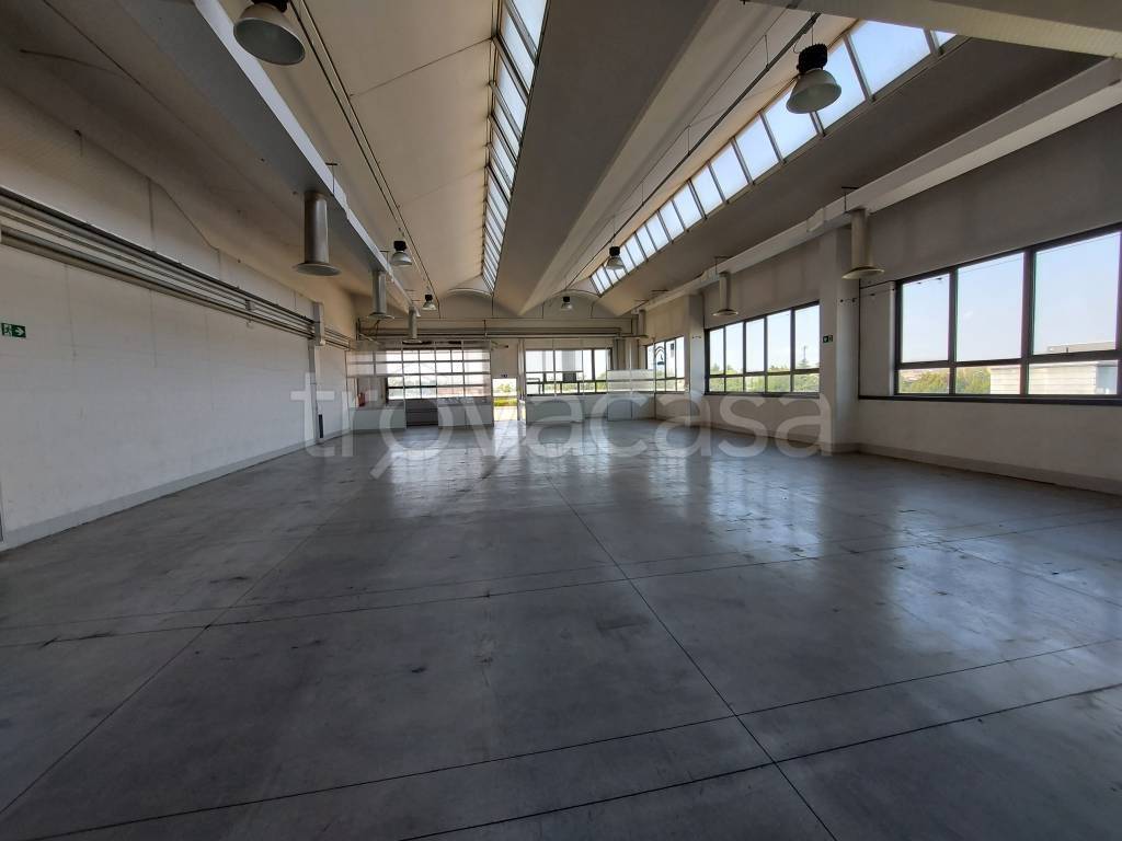 immagine annuncio 2 di 8