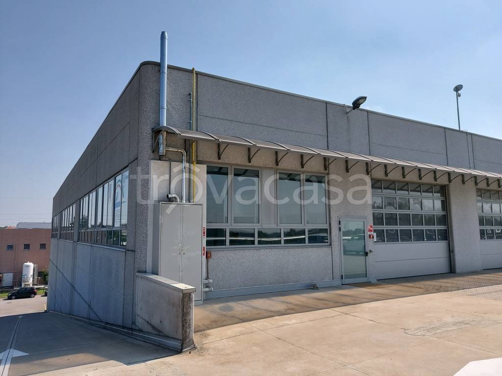 immagine annuncio 6 di 8