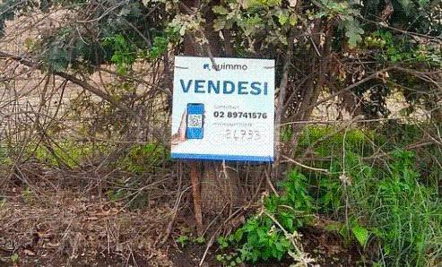 immagine annuncio 5 di 13