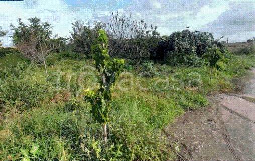 immagine annuncio 6 di 13