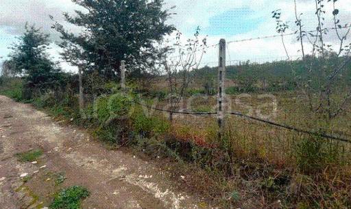 immagine annuncio 10 di 13