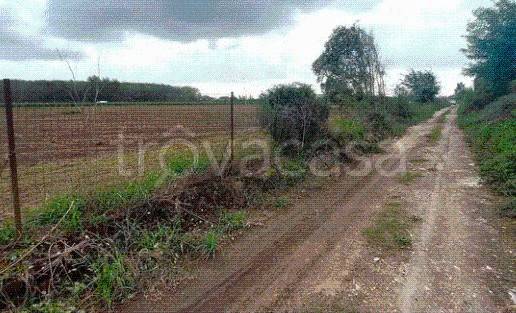 immagine annuncio 11 di 13