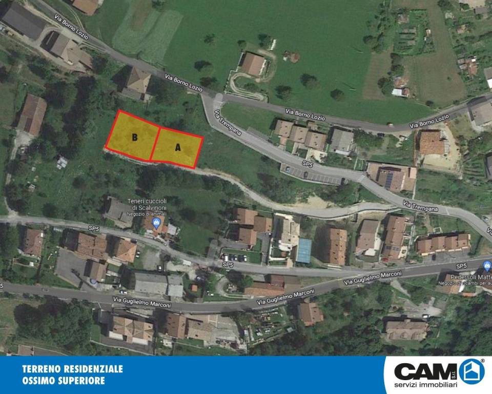 immagine annuncio 5 di 6