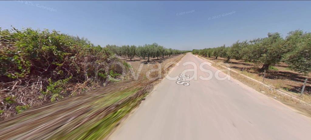 immagine annuncio 3 di 11