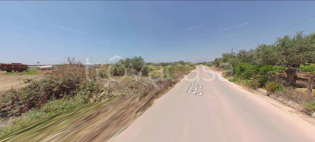 immagine annuncio 4 di 11