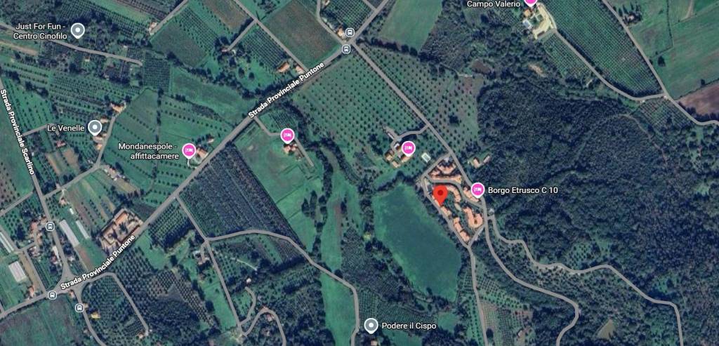 immagine annuncio 6 di 7