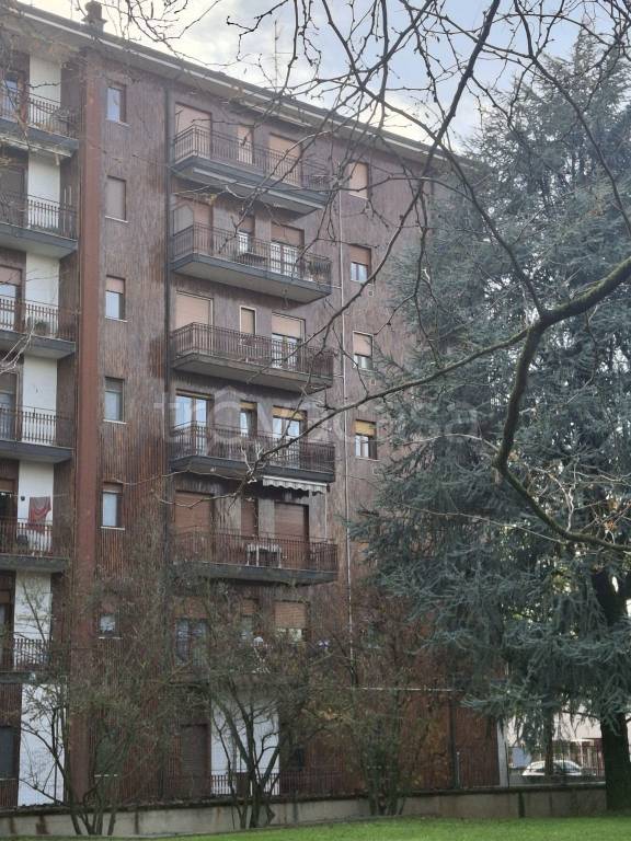 immagine annuncio 11 di 15