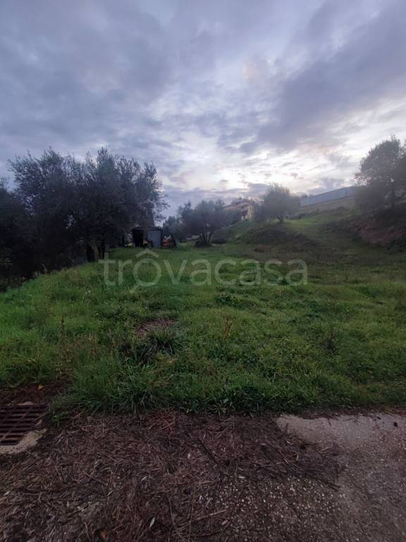 immagine annuncio 2 di 9