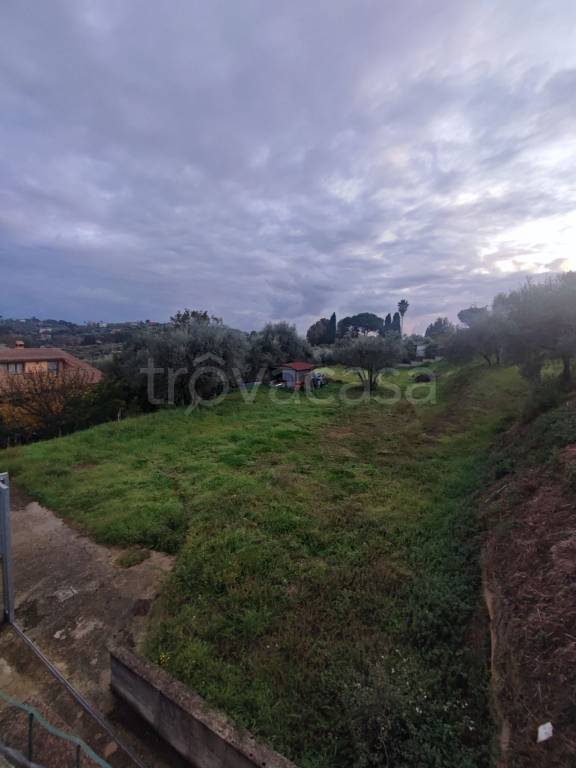 immagine annuncio 3 di 9