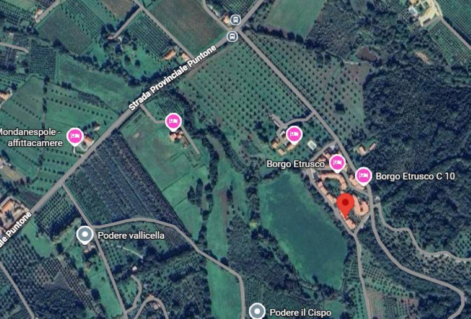 immagine annuncio 3 di 14