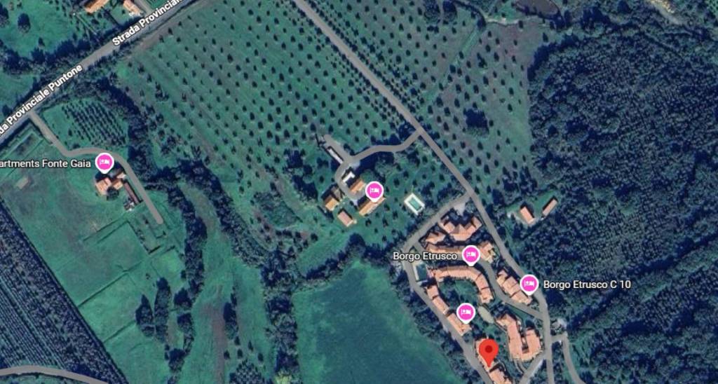 immagine annuncio 4 di 14