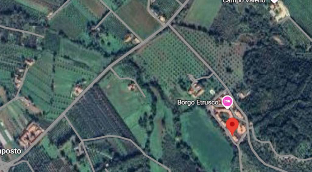 immagine annuncio 5 di 14