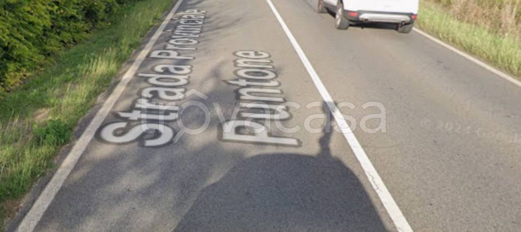 immagine annuncio 9 di 14