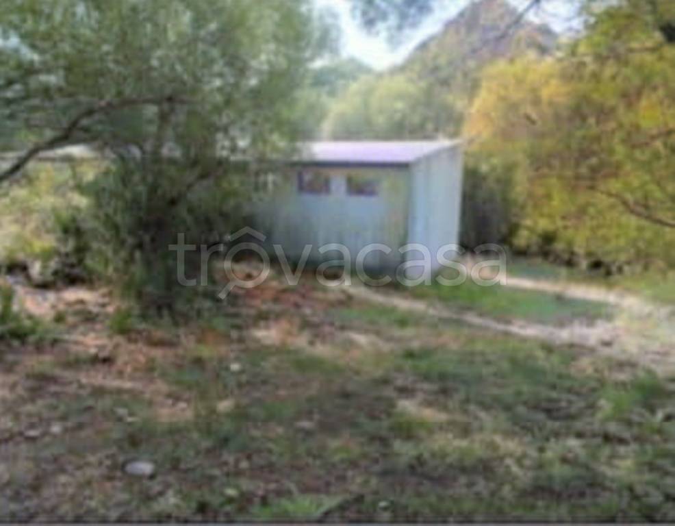 immagine annuncio 4 di 12