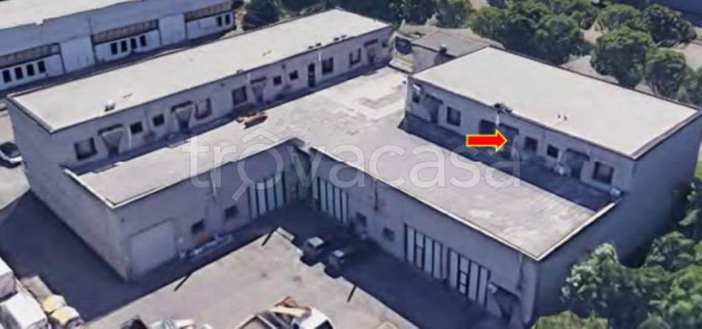 immagine annuncio 1 di 11