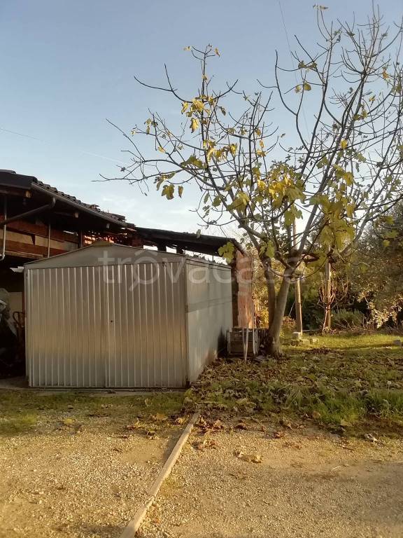 immagine annuncio 2 di 14