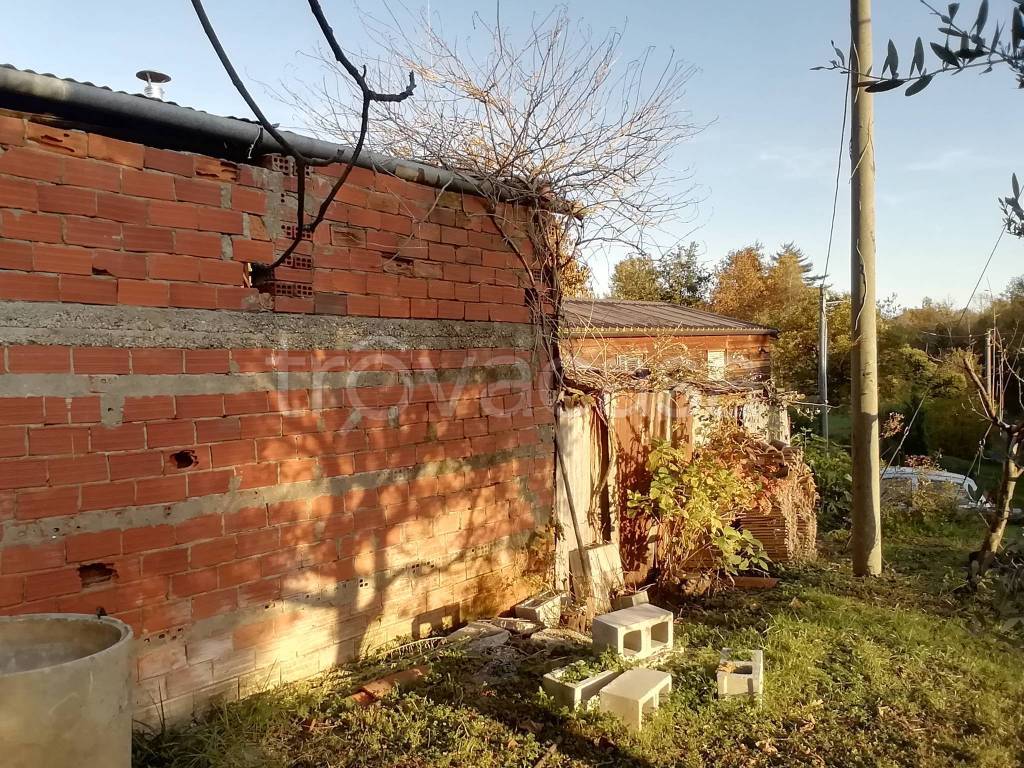 immagine annuncio 3 di 14