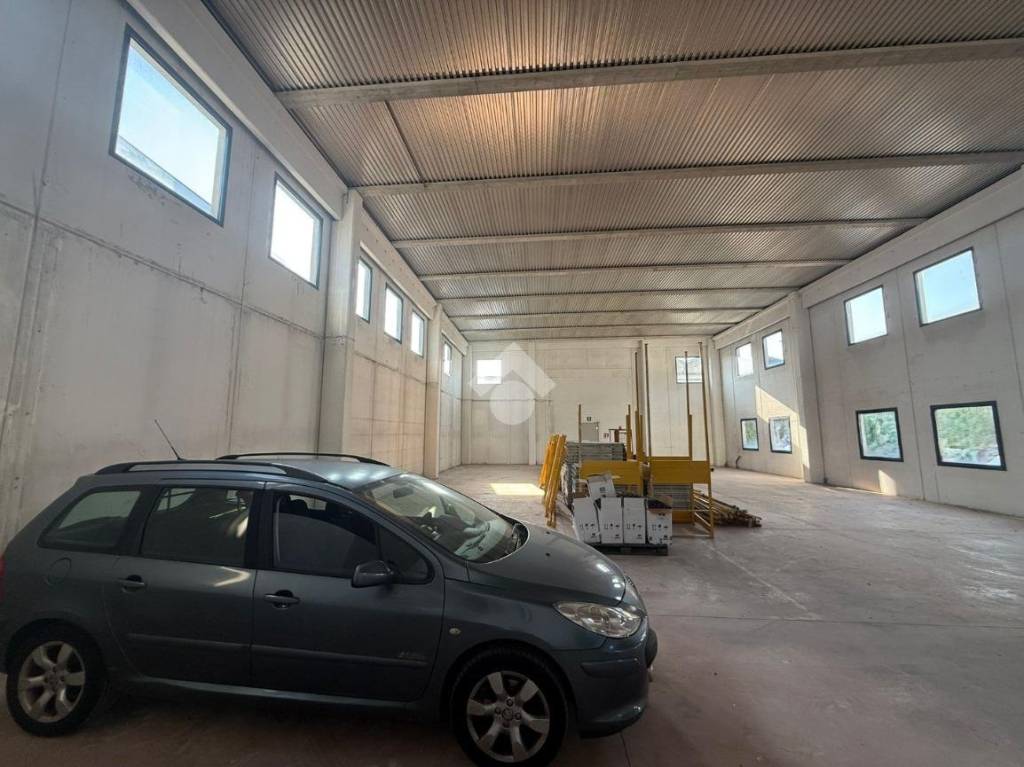 immagine annuncio 2 di 11