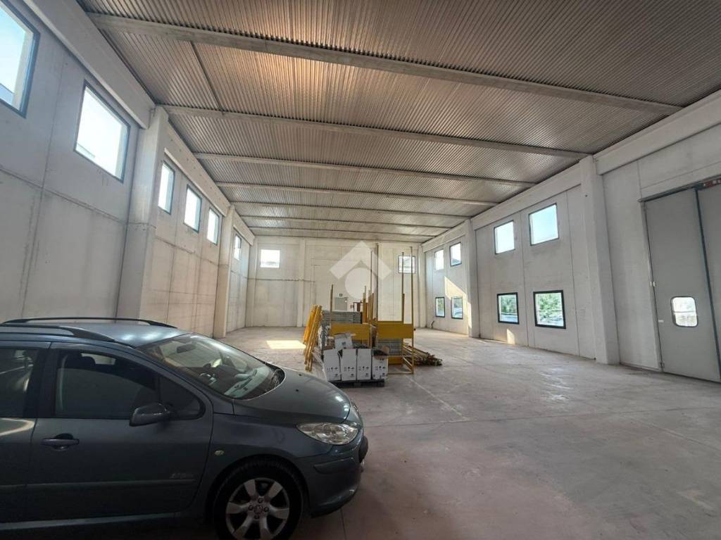 immagine annuncio 3 di 11