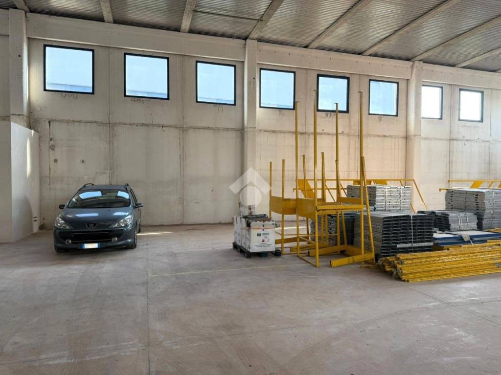 immagine annuncio 5 di 11